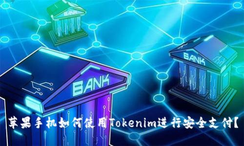 苹果手机如何使用Tokenim进行安全支付？