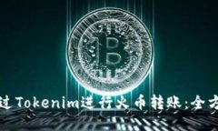 如何通过Tokenim进行火币转账：全方位指南