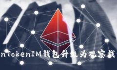 如何将TokenTokenIM钱包升级为观察钱包：全面指南