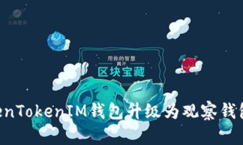 如何将TokenTokenIM钱包升级为观察钱包：全面指南