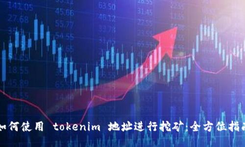如何使用 tokenim 地址进行挖矿：全方位指南