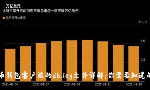 比特币钱包客户端的db.log文件详解：你需要知道的一切