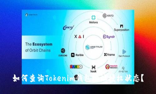 如何查询Tokenim钱包地址授权状态？