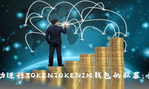 如何成功进行TOKENTOKENIM钱包的私募：全面指南