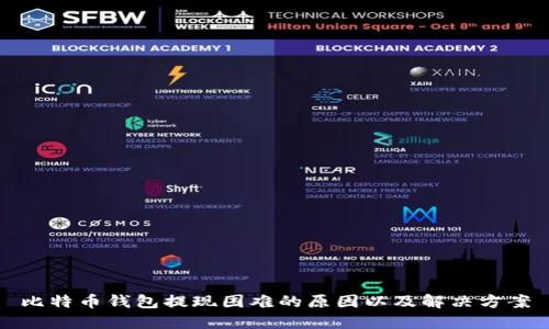 比特币钱包提现困难的原因以及解决方案