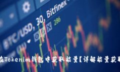 如何在Tokenim钱包中获取能量？详解能量获取方式