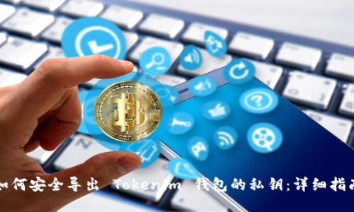 如何安全导出 Tokenim 钱包的私钥：详细指南