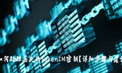 如何处理丢失的TokenIM密钥？详细步骤与建议