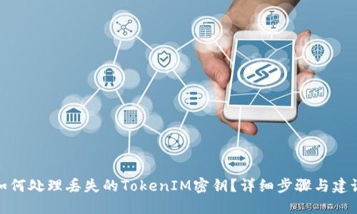 如何处理丢失的TokenIM密钥？详细步骤与建议