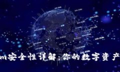 Tokenim安全性详解：你的数字资产保护伞