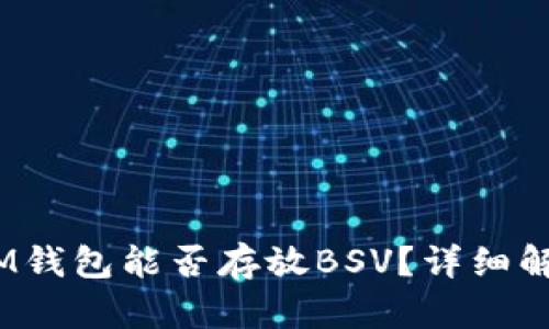 TokenTokenIM钱包能否存放BSV？详细解读及使用指南