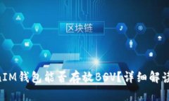 TokenTokenIM钱包能否存放BSV？详细解读及使用指南