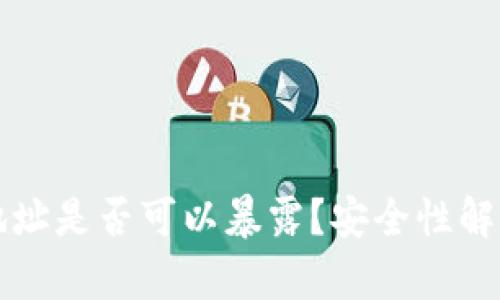 比特币钱包地址是否可以暴露？安全性解析与最佳实践