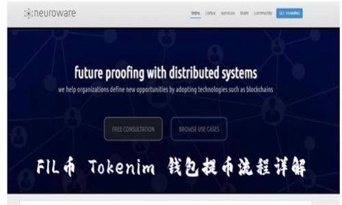 FlL币 Tokenim 钱包提币流程详解
