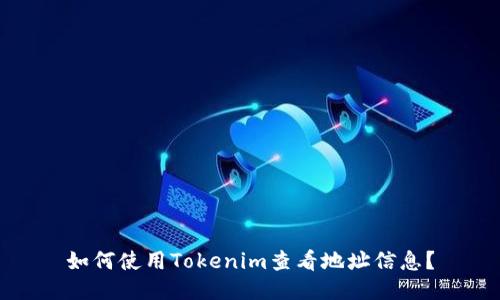 如何使用Tokenim查看地址信息？
