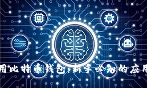 如何安全使用比特币钱包：新手必知的应用方法与技巧