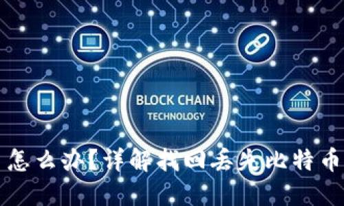比特币钱包不见了怎么办？详解找回丢失比特币钱包的步骤与技巧