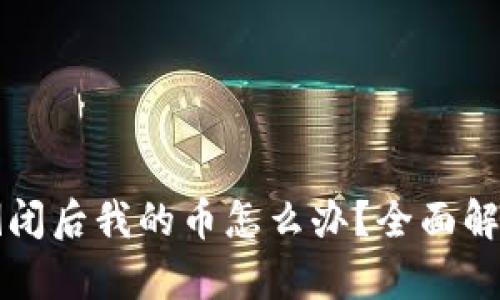 区块链钱包倒闭后我的币怎么办？全面解析与应对策略