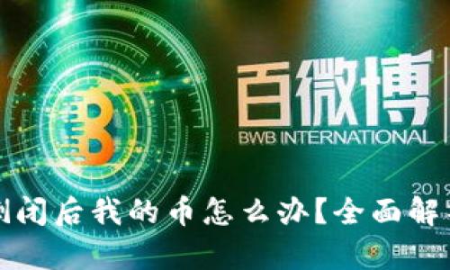区块链钱包倒闭后我的币怎么办？全面解析与应对策略