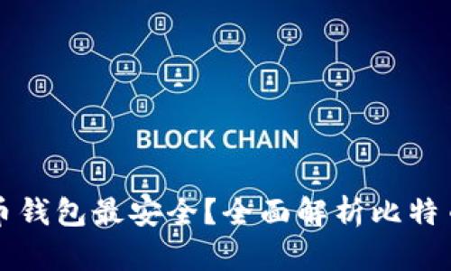 究竟哪个比特币钱包最安全？全面解析比特币钱包的安全性