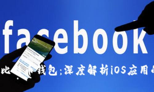 2017年最佳比特币钱包：深度解析iOS应用的选择与使用