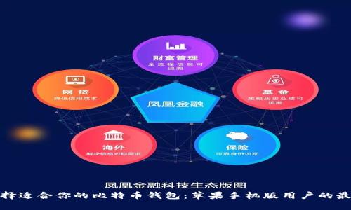 如何选择适合你的比特币钱包：苹果手机版用户的最佳选择