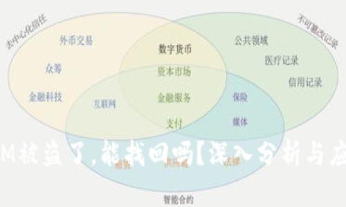 TokenIM被盗了，能找回吗？深入分析与应对措施