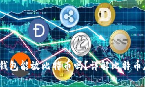 Tokentokenim钱包能放比特币吗？详解比特币存储与管理技巧