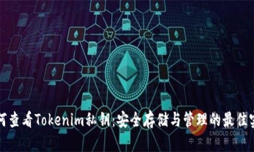 如何查看Tokenim私钥：安全存储与管理的最佳实践