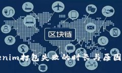 Tokenim打包失败的时长与原因分析