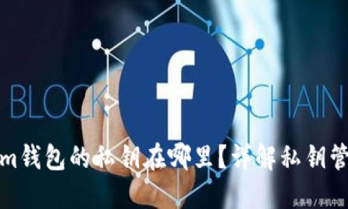 Tokenim钱包的私钥在哪里？详解私钥管理知识