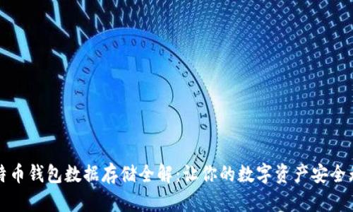 比特币钱包数据存储全解：让你的数字资产安全无忧
