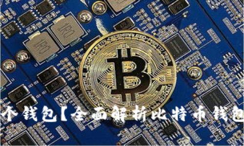 比特币存放在哪个钱包？全面解析比特币钱包类型和选择指南