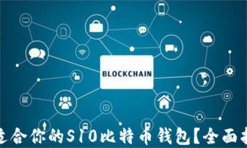 
如何选择适合你的S10比特币钱包？全面指南与建议