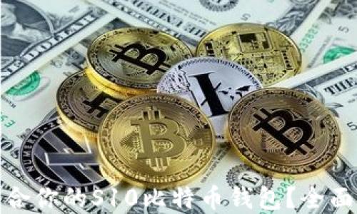 
如何选择适合你的S10比特币钱包？全面指南与建议