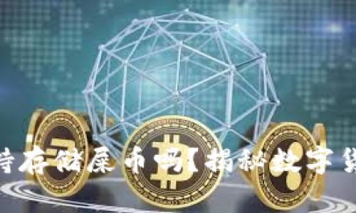 Tokenim钱包支持存储屎币吗？揭秘数字货币的投资与管理