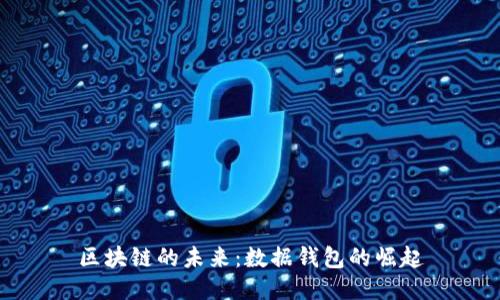 区块链的未来：数据钱包的崛起