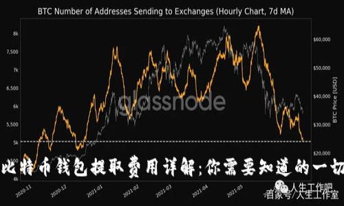 比特币钱包提取费用详解：你需要知道的一切