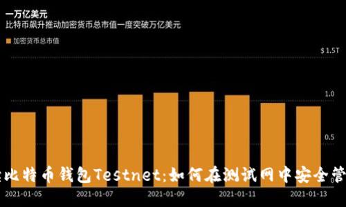 彻底解读比特币钱包Testnet：如何在测试网中安全管理比特币