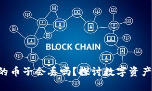 Tokenim里的币子会丢吗？探讨数字资产安全与风险