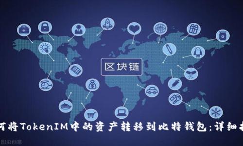 如何将TokenIM中的资产转移到比特钱包：详细指南