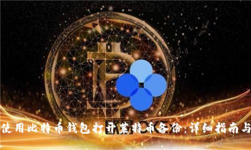 如何使用比特币钱包打开莱特币备份：详细指南与技巧