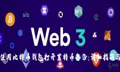 如何使用比特币钱包打开莱特币备份：详细指南与技巧