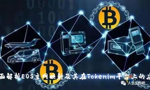 全面解析EOS主网映射及其在Tokenim平台上的应用