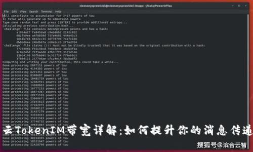 阿里云TokenIM带宽详解：如何提升你的消息传递效率