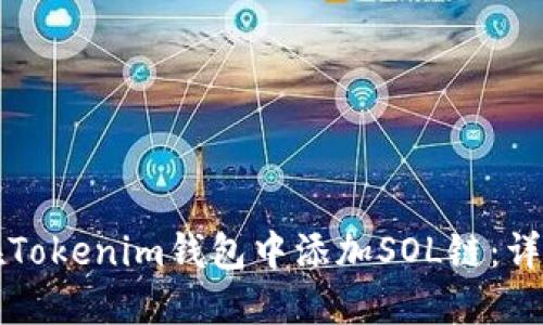 如何在Tokenim钱包中添加SOL链：详尽指南
