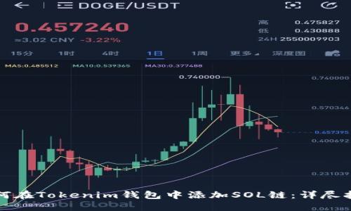 如何在Tokenim钱包中添加SOL链：详尽指南