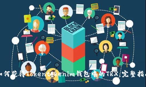 如何获得Tokentokenim钱包中的TRX：完整指南