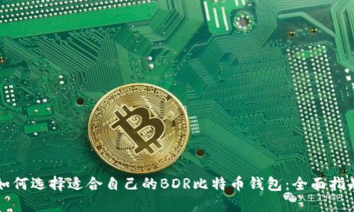 如何选择适合自己的BDR比特币钱包：全面指南