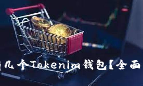 一个人可以拥有几个Tokenim钱包？全面解析及使用建议